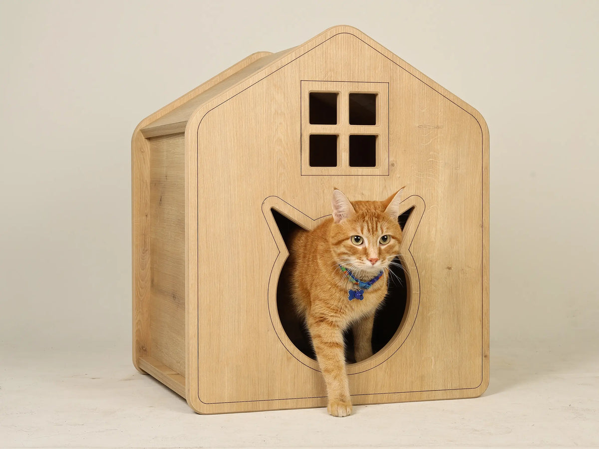 cat house indoor