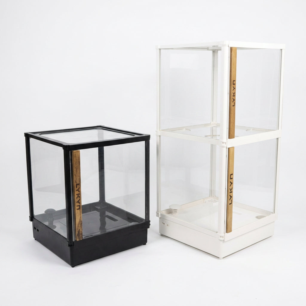 Lykyn double-tier mushroom grow box, black variant showing stacked fruiting chambers on a kitchen counter